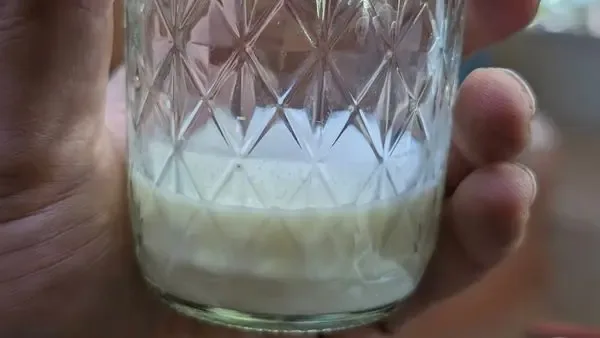 Fresh raw goat milk from the Earthship Journey farm